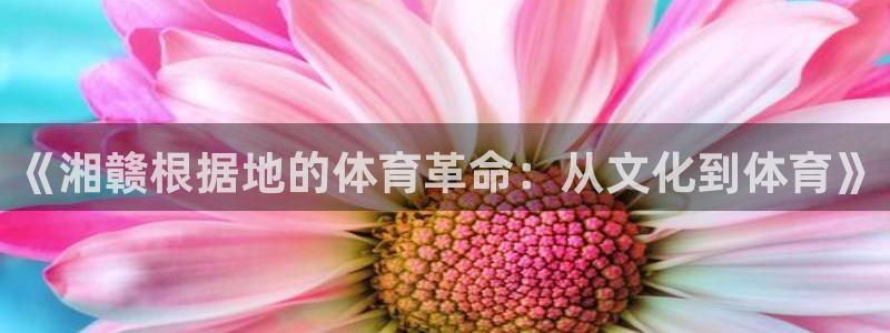678体育官网地址：《湘赣根据地的体育革命：从文化到体育》