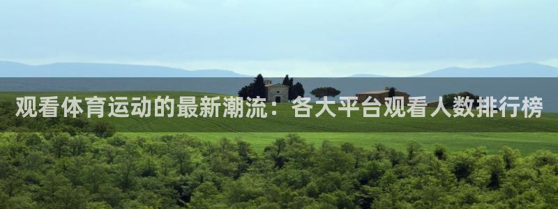 皇冠678体育：观看体育运动的最新潮流：各大平台观看人数排行榜