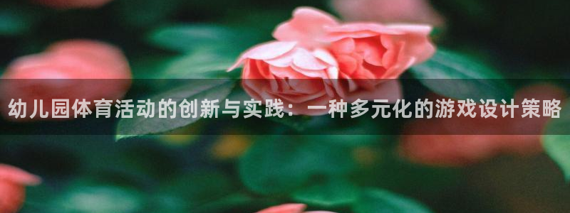 678体育官网下载：幼儿园体育活动的创新与实践：一种多元化的游戏设计策略