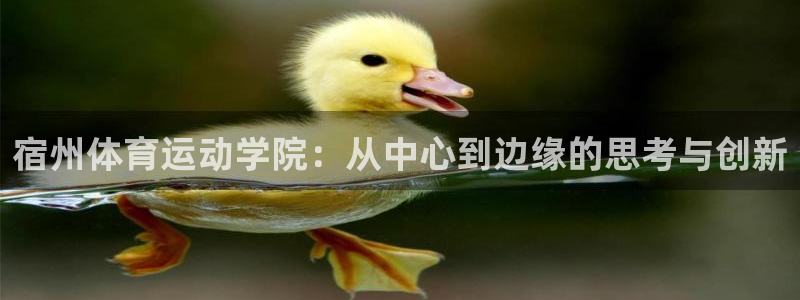 678体育app