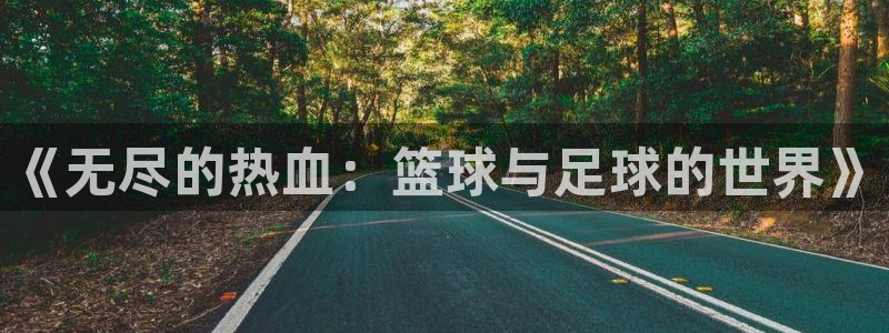 678体育官网地址：《无尽的热血：篮球与足球的世界》