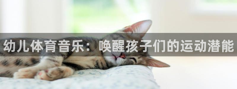 678体育官网地址