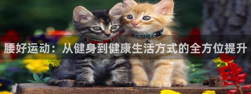 678体育官网下载