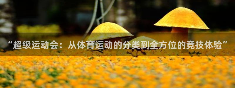 皇冠678体育